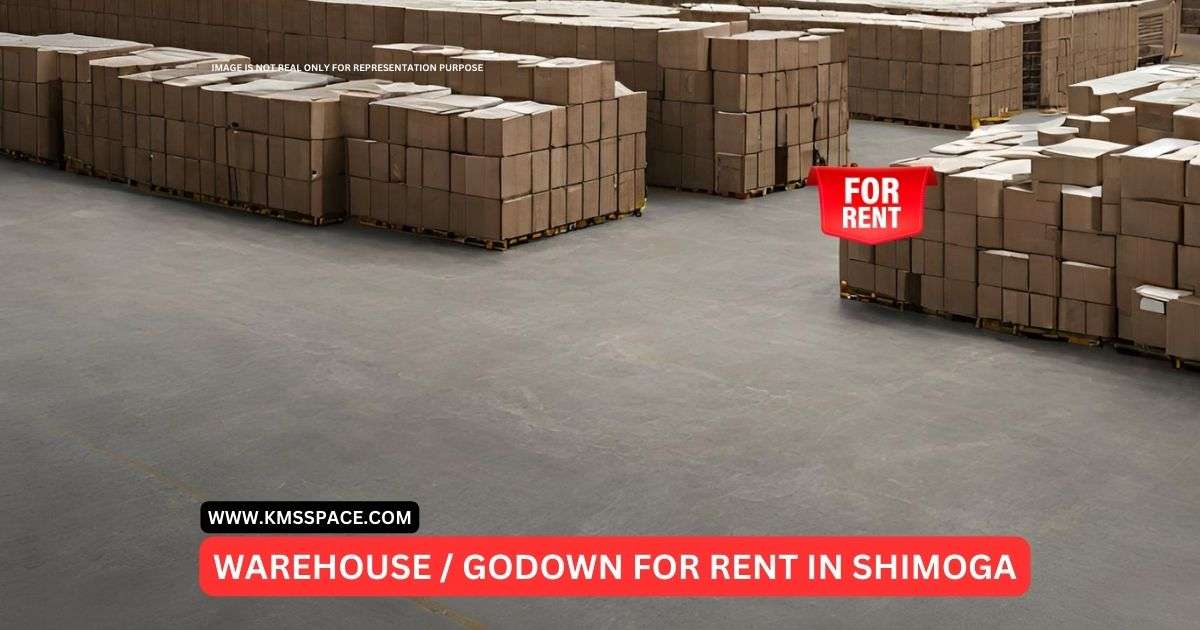 Shimoga's Best Storage Units Unveiled
